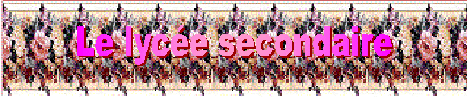 slim.gif (115475 octets)
