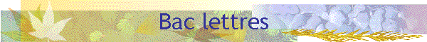 Bac lettres