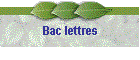 Bac lettres