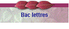 Bac lettres