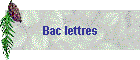 Bac lettres
