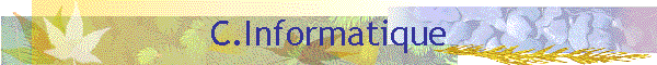 C.Informatique