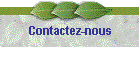 Contactez-nous