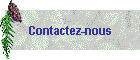 Contactez-nous