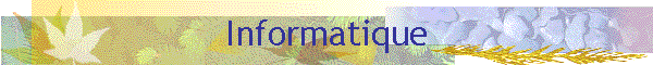Informatique