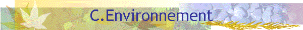 C.Environnement