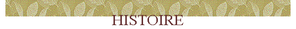 HISTOIRE