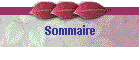 Sommaire