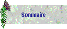 Sommaire